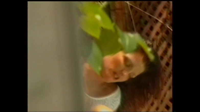 MCG Empire: Гарячі мерзенні казки жеребця!! - (Епізод #02)