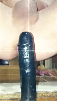Anal Dildo Home