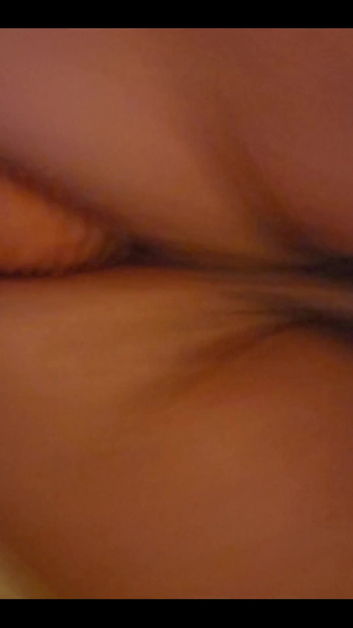 Curious Jay: お気に入りの4つのおもちゃすべてを使う