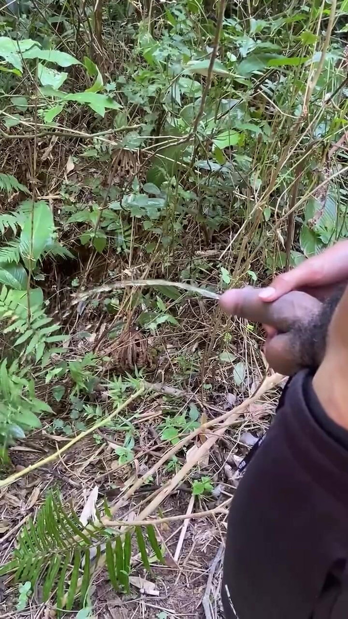 Vida Noite: Patikalarda tutkuyla işedi