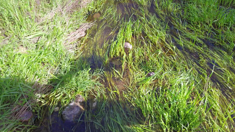 Sav Moolah: Petite Blonde Gets Massive Outdoor Facial