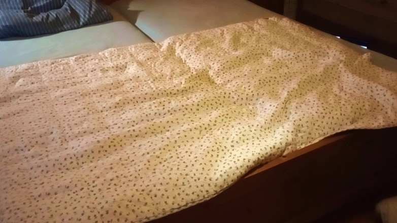 Mark Hannes: Masturbazione di una gobba a letto nudo