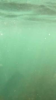 Open Water Freedive Ultra Long Fins, Wetsuit & Snorkel Gear
