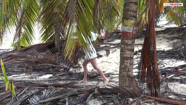 Jasmine RougeXXX: Under the palms in Punta Cana, my friend gets the...