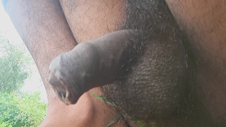 Desi_Porn_India: Video kompilasi video masturbasi hotku di ladang.