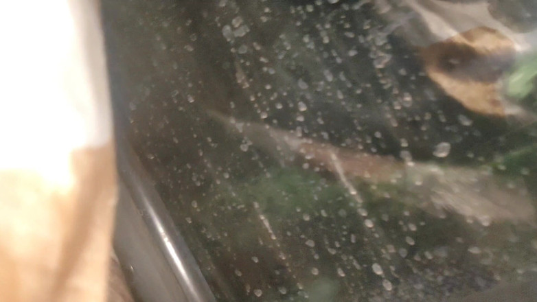 Sexy biwi: Bhabhi Im Bus Gefickt, Während Sie Nach Bombay Ging