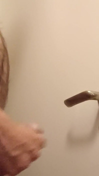 Cumming Toiletdoor