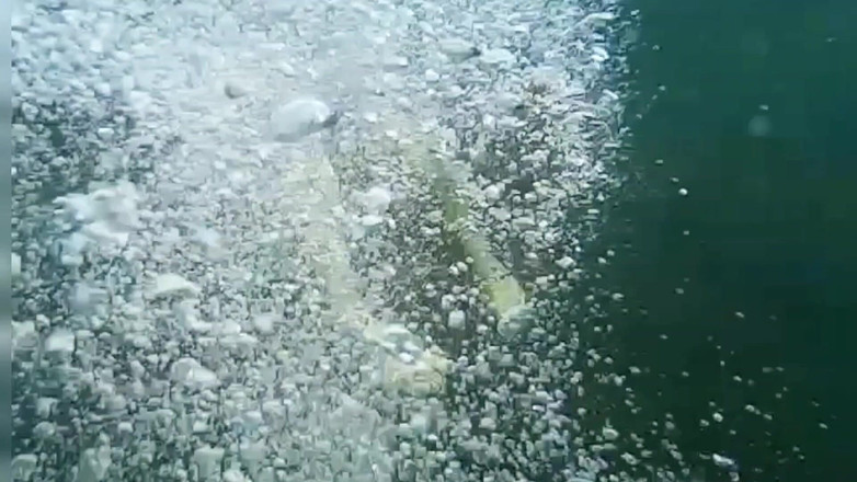 Risky Hairy Couple: Stavo pescando sott'acqua ma invece di pesce ho incontrato una...
