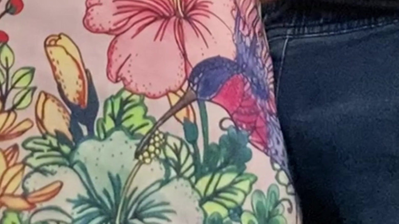 PriyaNaavya: 在公共交通工具上手淫 - 没有穿内裤的女郎