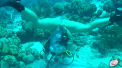 Mistress Pink Pearl: Время в одиночестве в Бонэйре