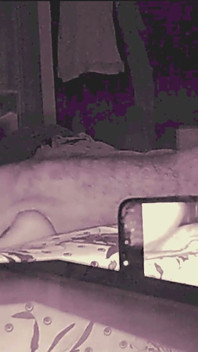 Říká žádný anál, ale nebere ne pro odpověď, část 6