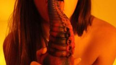 Large Alien Dildo + Vibrator = Valentine's Day Orgasm!