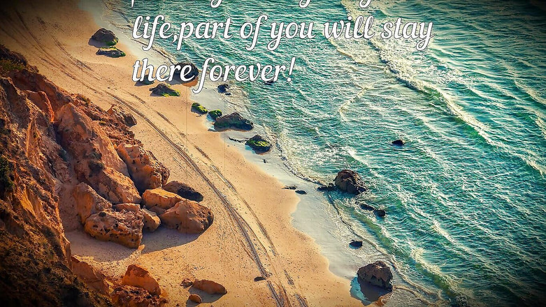 denisporco animation: 一个胖乎乎的浪漫罗马尼亚性故事