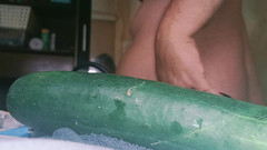 Lovvetoyy: Dýně a okurka