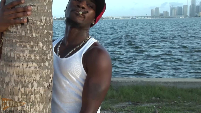 CocoDorm: L'uomo ricco