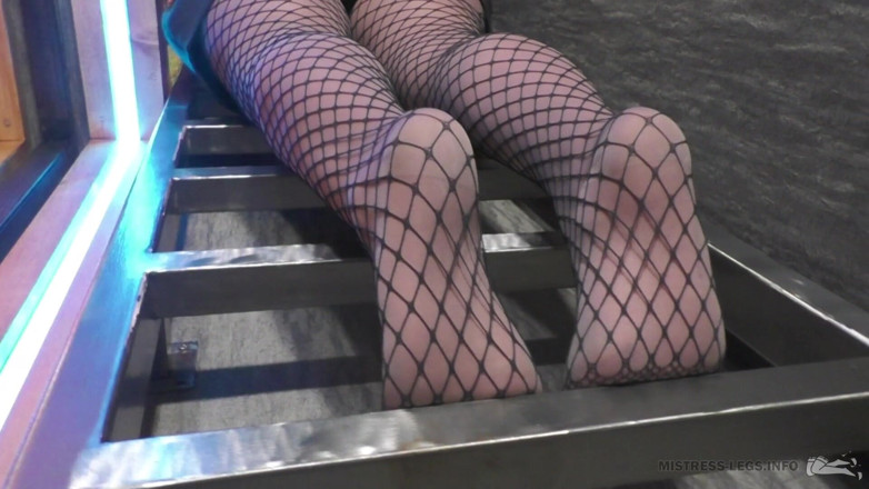 Mistress Legs: Under sexy legs in pantyhose and fishnets