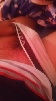 Penis