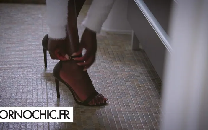 Pornochic: United by the Desire for a Trio