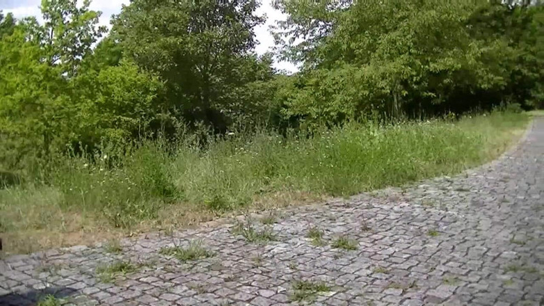 Popp Sylvie: Buitenshuis dildo neuken