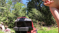 Destination Kat: Yardwork, natursekt-zusammenstellung