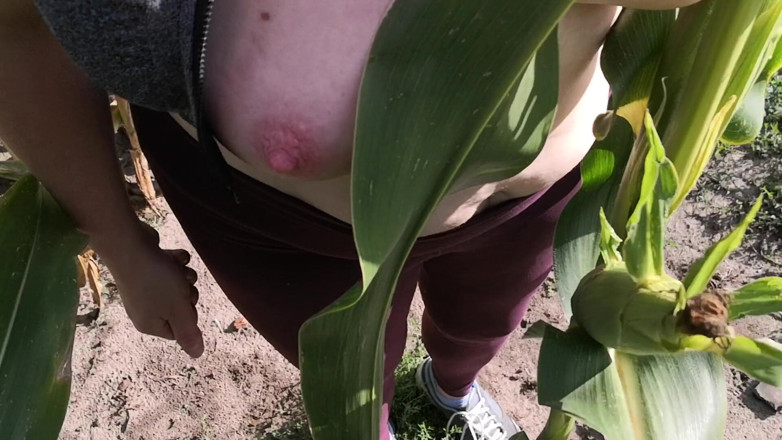 Bouncy Tits Action: Slap an squeeze my tits in corn field