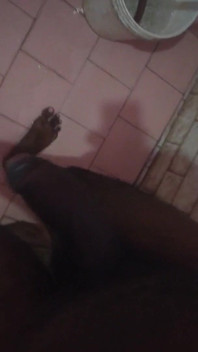 Tamil10inchesbbc Sexy Morning Wood Session