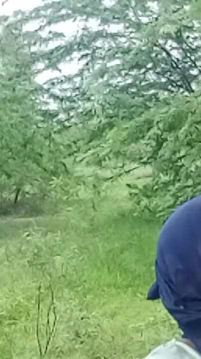 SmokyChatter914: Desi Village Bhabhi's Hot Fuck in the Jungle