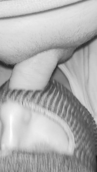 Husband Sucking a TS