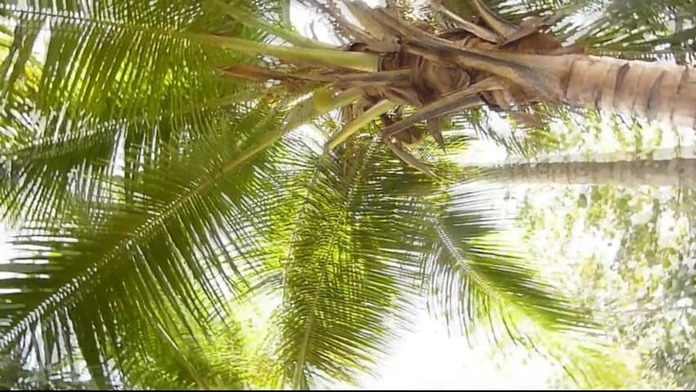 Watch4beauty: Coco