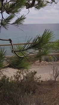 Dick Flash - Wyciągam kutasa przed francuską dziewczyną ... Beach Path i ona pomaga mi spust w Mounth złapany!!