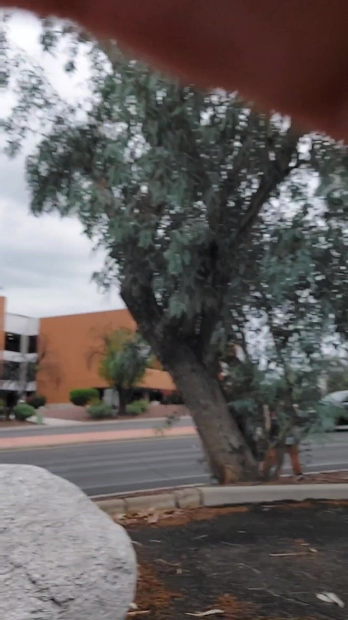 Zilah Luz: Hairy Pussy Peeing Along Side a Busy Road