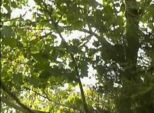 Analiscius: Dark haired milf with big boobs gets ass slammed outdoors