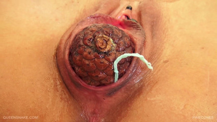 Queen Snake: Pinecones inside my wet pussy