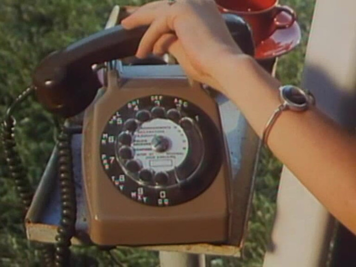 Java Consulting: De quatro, clássico à beira da piscina! (primeira cena, 8m26)