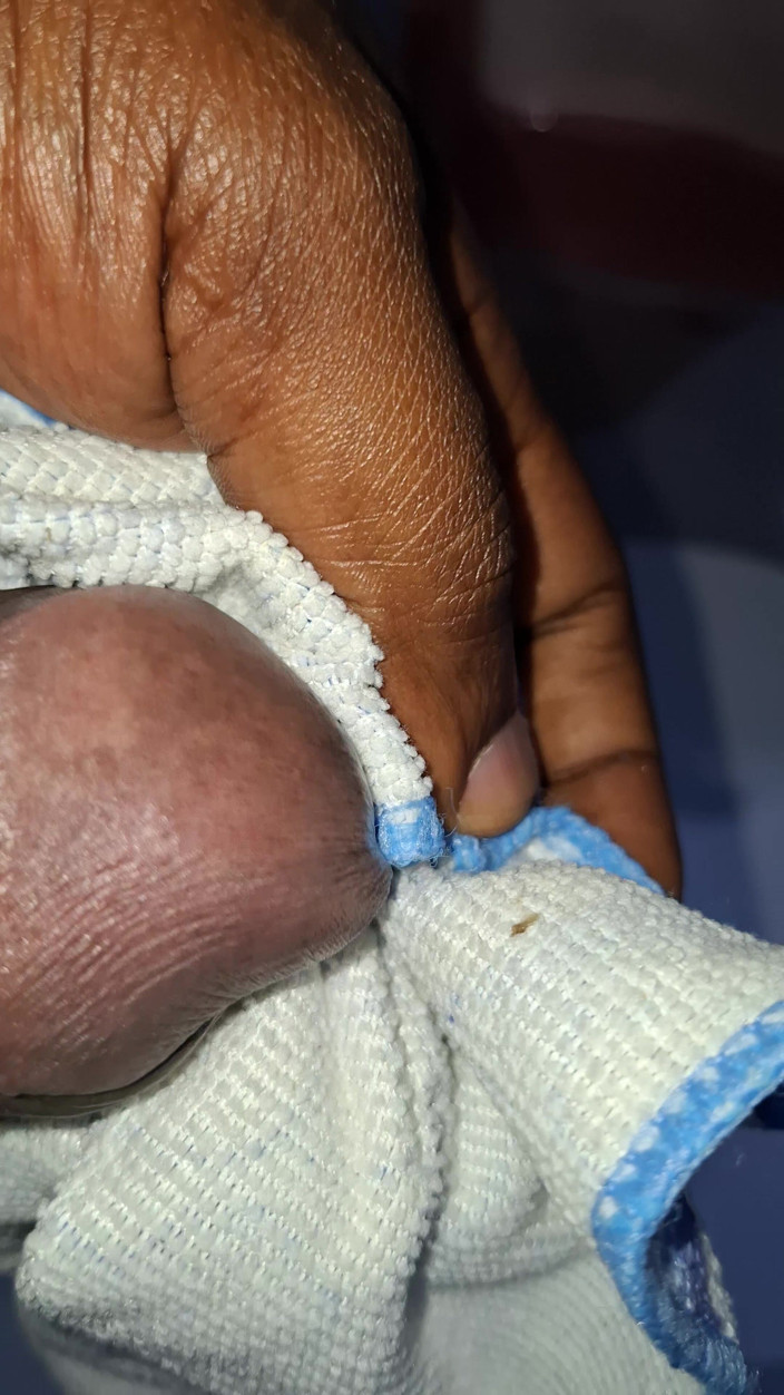 Bumba: Lots of Golden Liquid and Thick Sperm for You to...