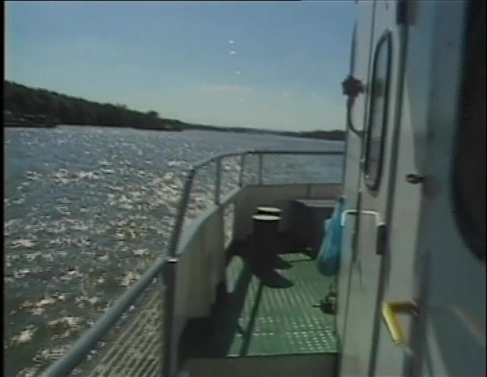 MMV Films and Clips XXX: Perfekte Джунг Мадхен - Эпизод 3