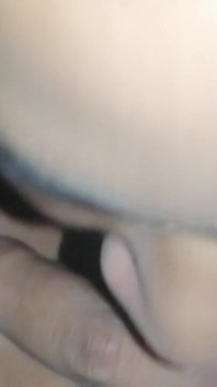My Cock Sucker