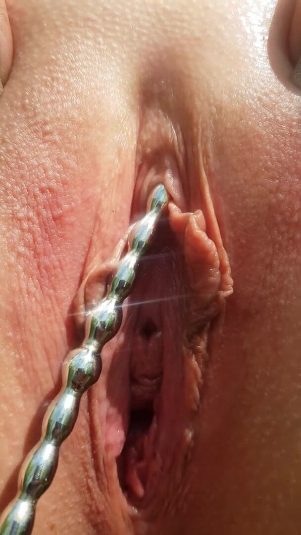 Misis SexQeenOrgasm: 私の猫のクローズアップを鳴らす
