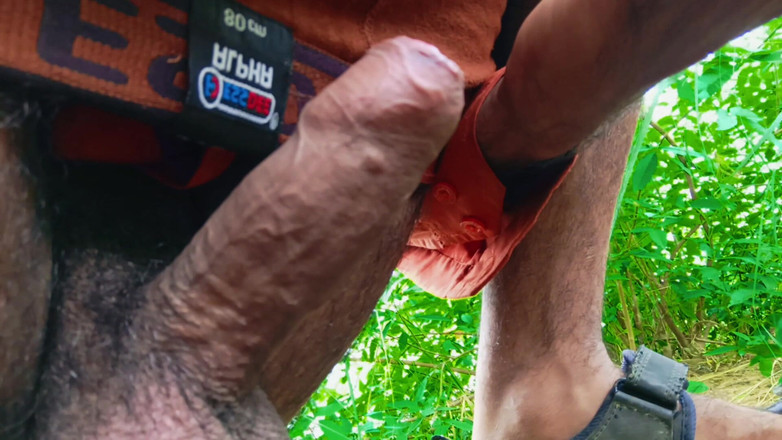 Brijesh 270: Extérieur