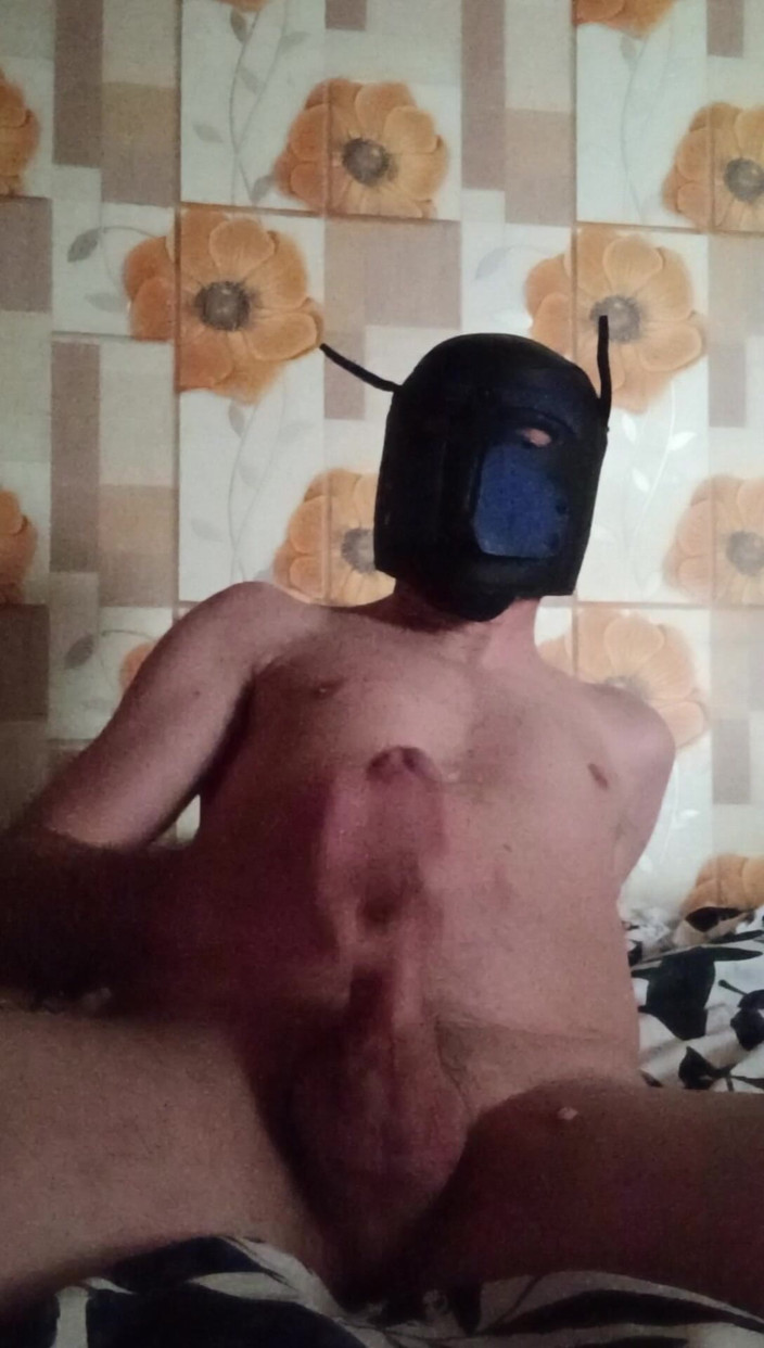 dogpoland22: Cadela masturbação