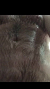 Stepdaddy Bear Body