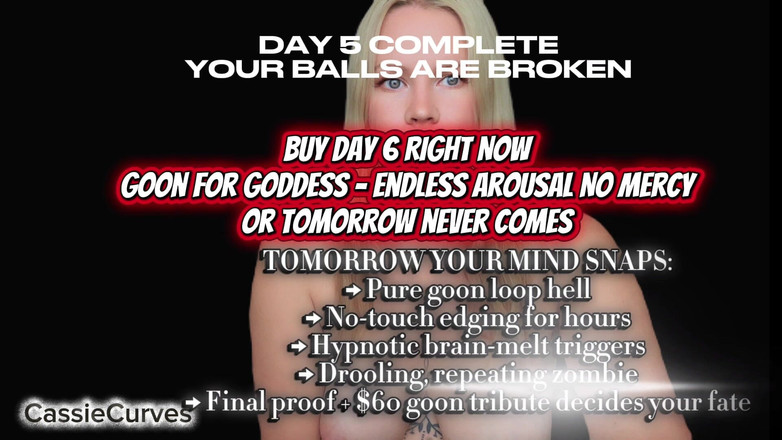 Cassie Curves: 第5天，共7天：CBT日