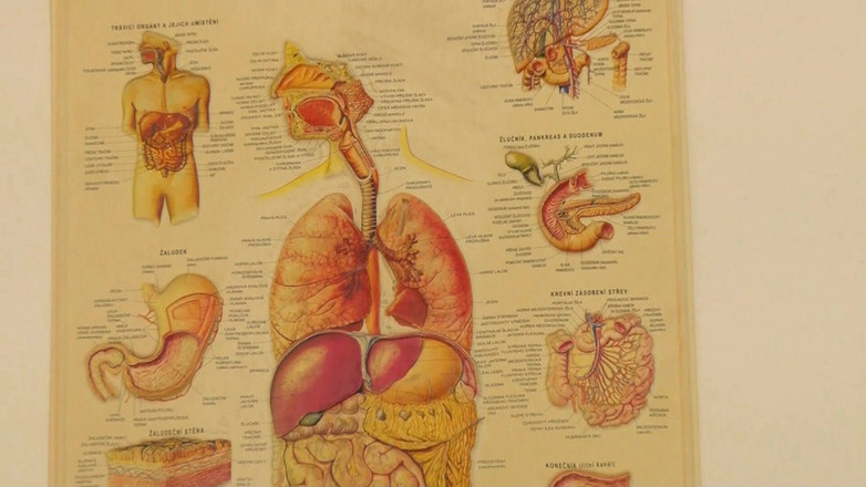 MMV Films: Freche Frauenarzt-untersuchung Wird Zu Wildem Muschi-hämmern
