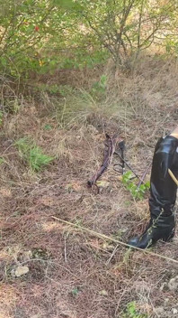 Falaka dans les bois avec l’Impératrice Bellasadique en train de s’amuser