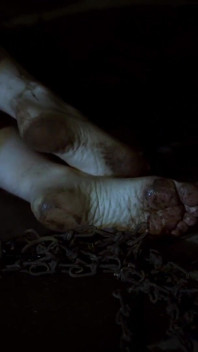 The Countess's Dog Is Fed and Dragged Across the Dungeon Floor