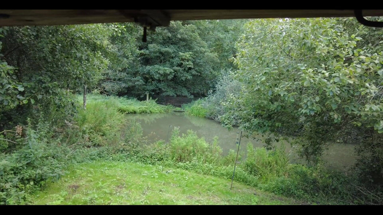 English Psycho: Heißes blondes transmädchen lily adick wird im wald von englischer...