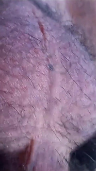 Chlupaté koule sexy Twink se pohybují sám pro toto fascinující gay porno video