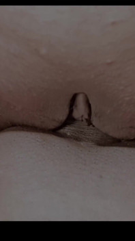 무드 X의 하람리 자민다르