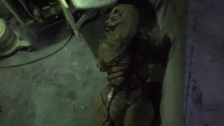 Horror porn: 공포 포르노 17: 여자 거미