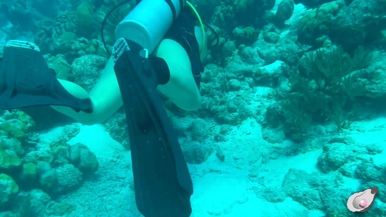 Mistress Pink Pearl: 보네르에서 혼자